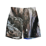 Andromeda Swim Shorts