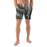 Andromeda Swim Shorts
