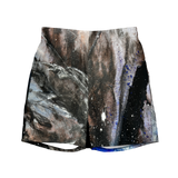 Andromeda Swim Shorts